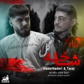 دانلود آهنگ ناصر نادری و تاراج شاخه گل